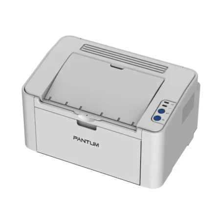 Pantum P2200 Laser Printer [IP]